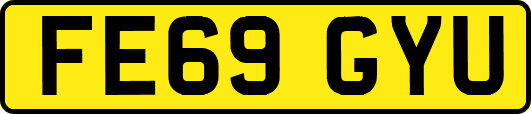 FE69GYU