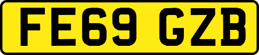 FE69GZB