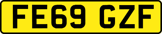 FE69GZF