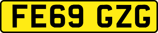 FE69GZG