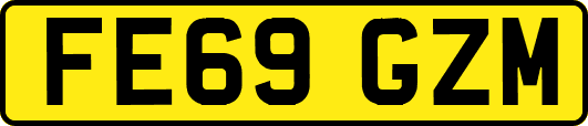 FE69GZM