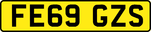 FE69GZS