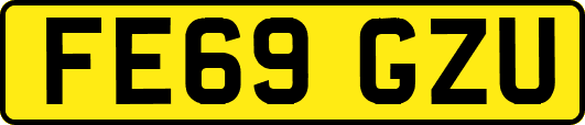FE69GZU