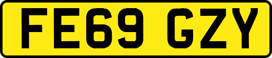 FE69GZY