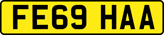 FE69HAA