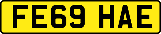 FE69HAE