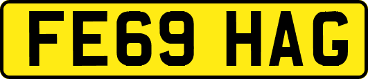 FE69HAG