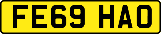 FE69HAO