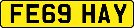 FE69HAY