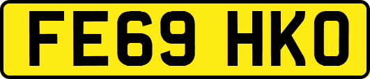 FE69HKO