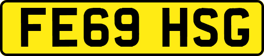 FE69HSG