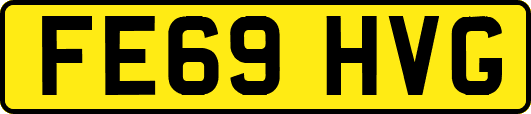 FE69HVG
