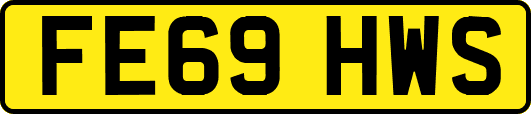 FE69HWS