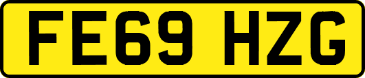 FE69HZG