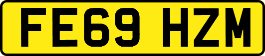 FE69HZM