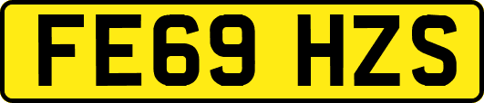 FE69HZS