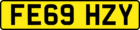 FE69HZY
