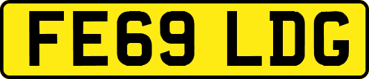 FE69LDG