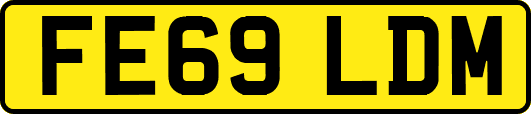 FE69LDM