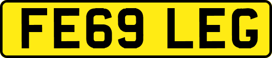 FE69LEG
