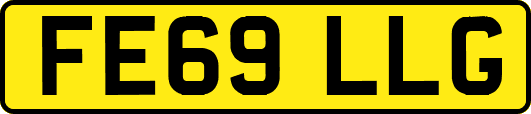 FE69LLG