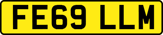 FE69LLM
