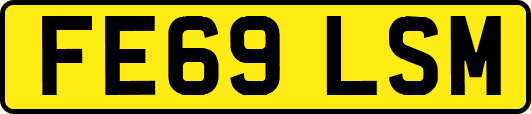 FE69LSM
