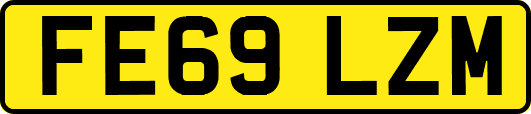 FE69LZM