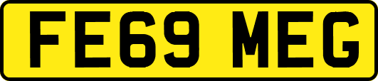 FE69MEG
