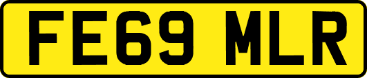 FE69MLR