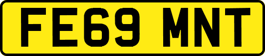 FE69MNT