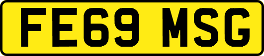 FE69MSG