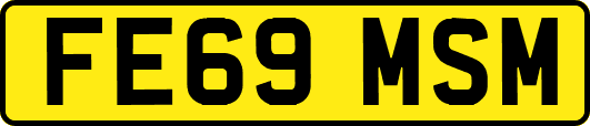 FE69MSM