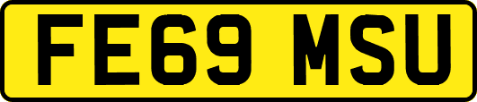 FE69MSU