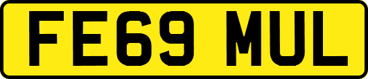 FE69MUL