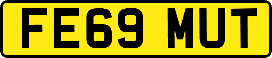FE69MUT