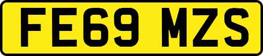 FE69MZS