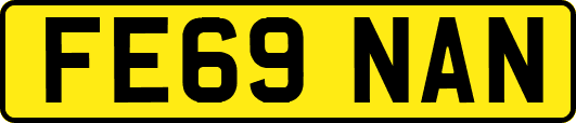 FE69NAN