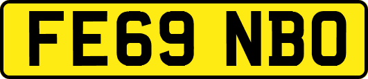 FE69NBO