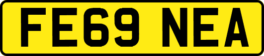 FE69NEA