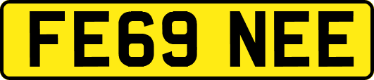 FE69NEE