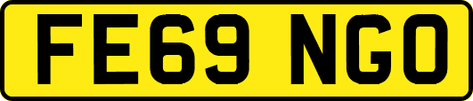 FE69NGO