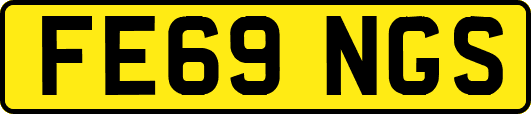 FE69NGS