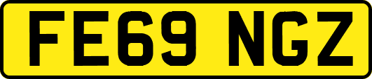 FE69NGZ