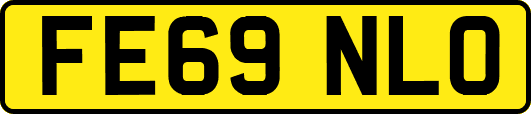 FE69NLO