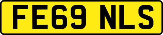 FE69NLS