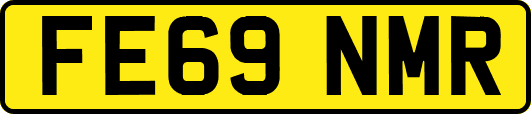 FE69NMR