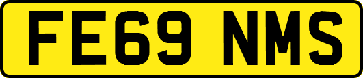 FE69NMS
