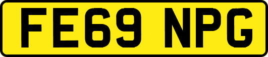 FE69NPG