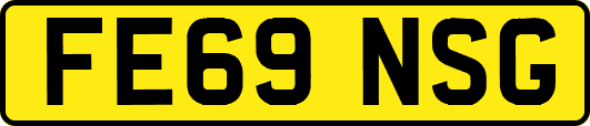 FE69NSG